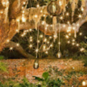 Meet your Posher, Beverly